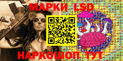винт Можга