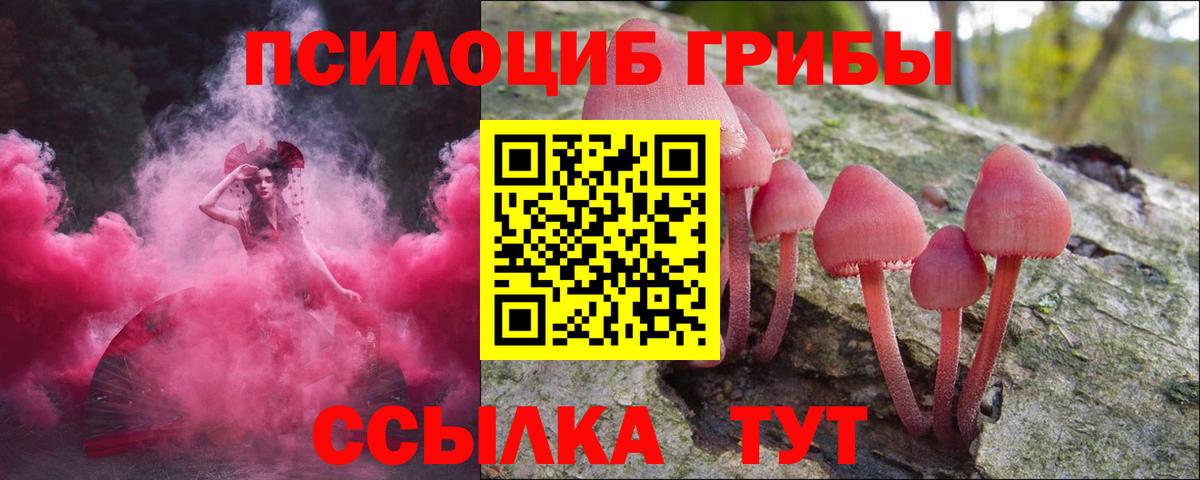 Шахты  Галлюциногенные грибы ЛСД  Вход с VPN 